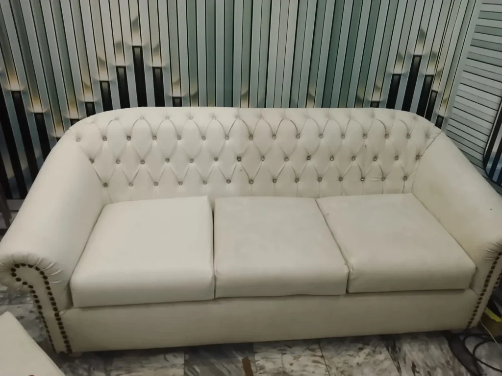Professional Sofa Cleaning Services