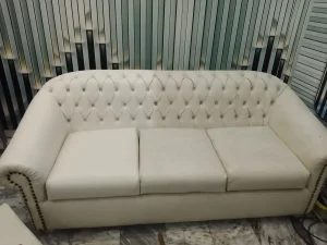 Professional Sofa Cleaning Services